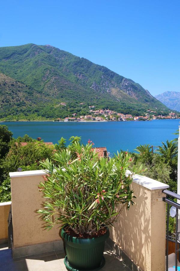 Apartments Jovanovic - Alkima Kotor Exterior photo