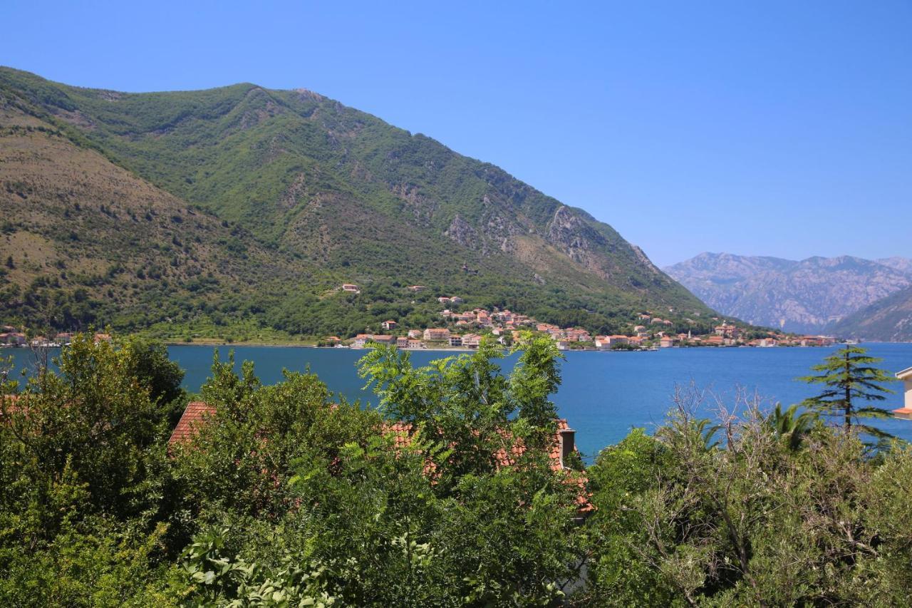 Apartments Jovanovic - Alkima Kotor Exterior photo