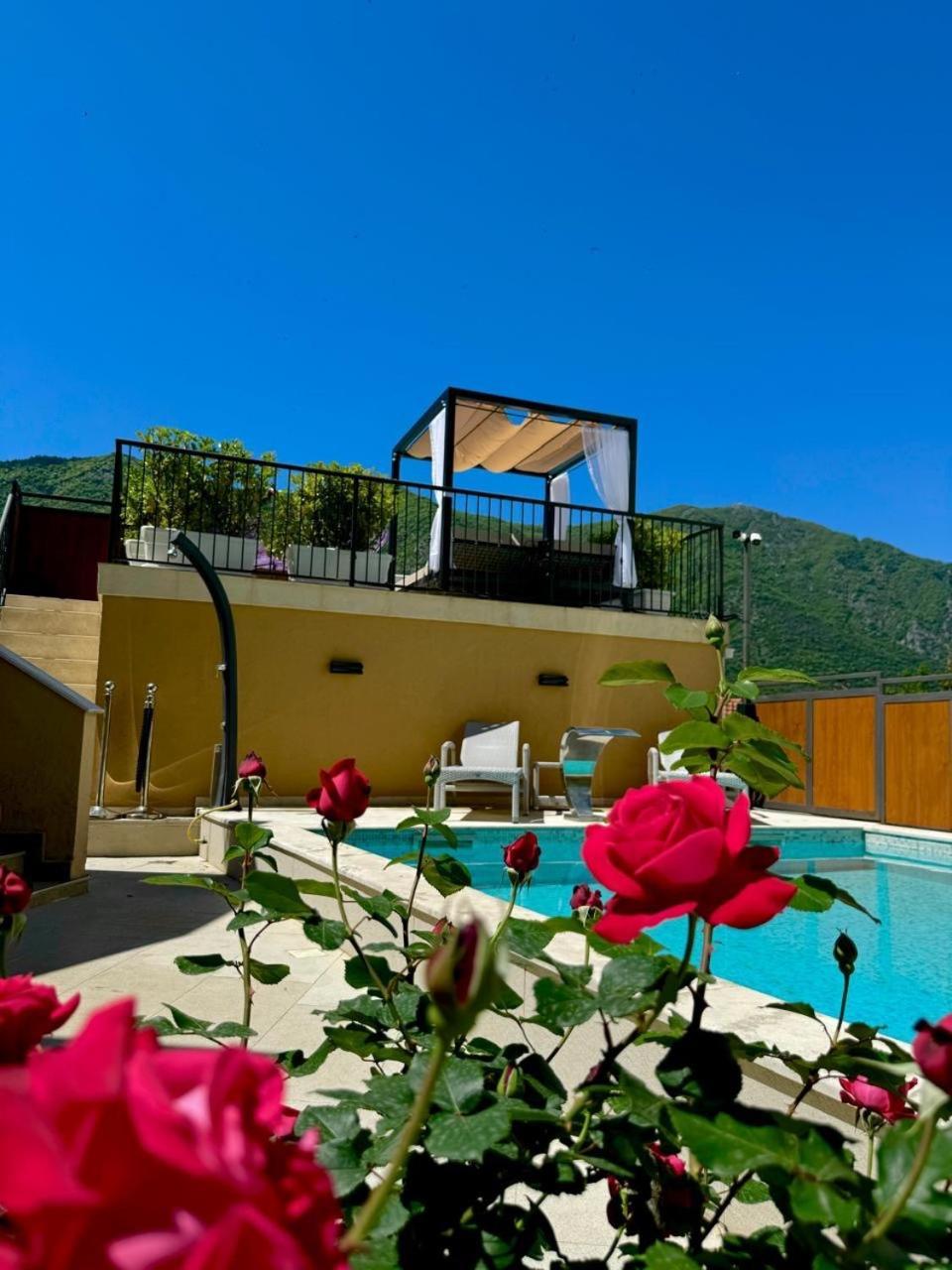 Apartments Jovanovic - Alkima Kotor Exterior photo